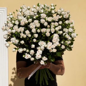 Букет из 27 кустовых роз (80 см) в Черноголовке