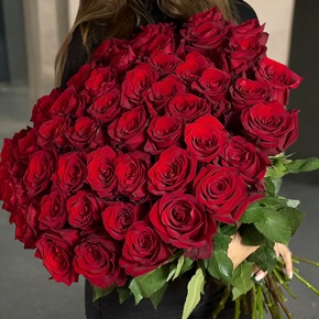 Букет 51 роза Эквадор Эксплорер (60 см) в Черноголовке