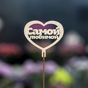 Топпер Самой Любимой в Черноголовке