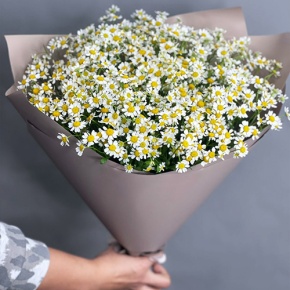 Букет из 17 ромашек танацетум в Черноголовке