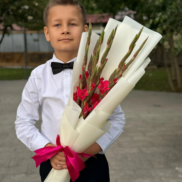 Букет на 1 сентября из 7 малиновых гладиолусов в Черноголовке