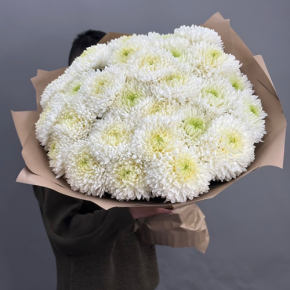 Букет из 27 хризантем Магнум в Черноголовке
