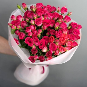 Букет из 11 малиновых кустовых роз (50 см) в Черноголовке