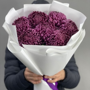 Букет "Винная легенда" из 7 хризантем Бигоуди в Черноголовке