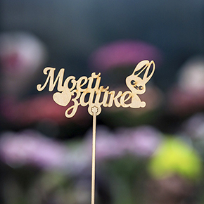 Топпер моей зайке в Черноголовке