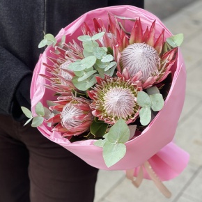 Букет из 5 протей и эвкалипта в Черноголовке