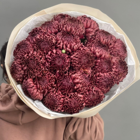 Букет 21 шоколадной хризантемы Бигоуди в Черноголовке