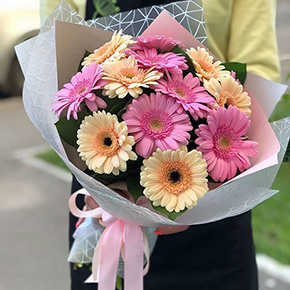 Микс нежных гербер в Черноголовке