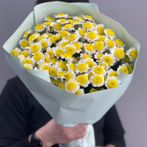 Букет "Моё солнышко" из 17 хризантем сантини  в Черноголовке
