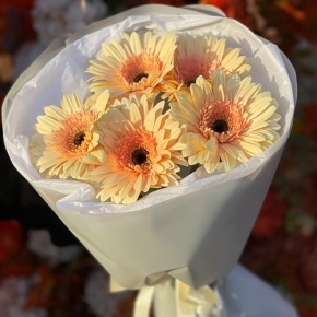Букет из 5 персиковых гербер в Черноголовке