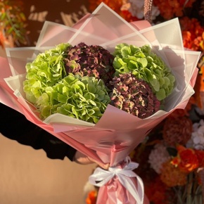 Букет из Голландских гортензий микс в Черноголовке