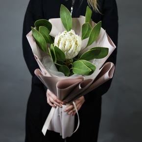 Букет "Великолепная" из экзотичной протеи в Черноголовке
