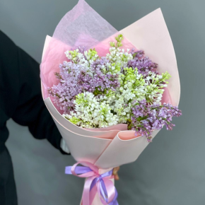 Букет из 11 веток сирени микс в Черноголовке