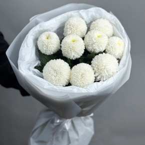 Букет из 9 белых хризантем Момоко в Черноголовке