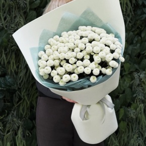 Букет из 25 хризантем Ньютон в Черноголовке