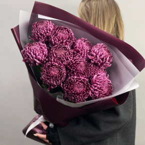 Букет "Изобилие" из 11 винных хризантем Бигоуди в Черноголовке