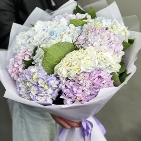 Букет из 9 Голландских гортензий микс в Черноголовке