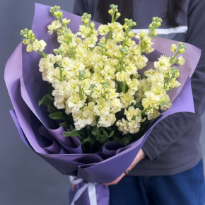 Букет из 15 лимонных маттиол в Черноголовке