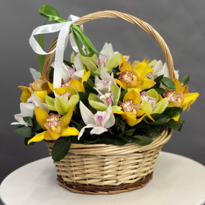 Композиция в корзине из 25 орхидей микс в Черноголовке