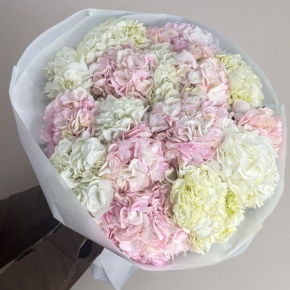 Букет из 17 нежных гортензий в Черноголовке