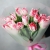 Букет "Фламинго" из 11 пионовидных тюльпанов в Черноголовке Букет "Фламинго" из 11 пионовидных тюльпанов в Черноголовке