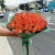 Букет из 51 мандариновой розы (40 см) в Черноголовке Букет из 51 мандариновой розы (40 см) в Черноголовке