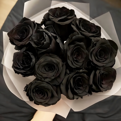Букет "Черная королева" из 11 черных роз Эквадор (60 см) в Черноголовке