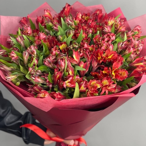 Монобукет из 25 красных альстромерий в Черноголовке
