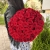 Букет 51 красной розы 50 см в Черноголовке Букет 51 красной розы 50 см в Черноголовке