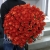 Букет 101 коралловая роза (60 см) в Черноголовке Букет 101 коралловая роза (60 см) в Черноголовке