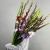 Букет из 25 гладиолусов микс в Черноголовке Букет из 25 гладиолусов микс в Черноголовке