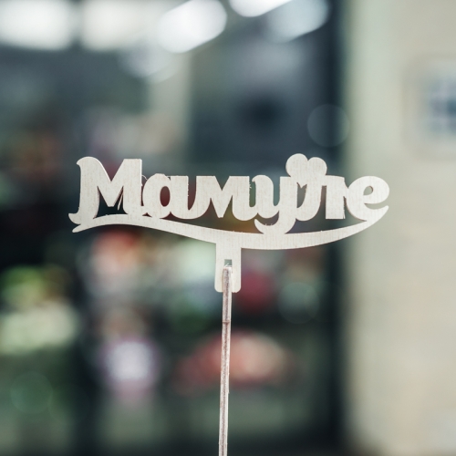 Топпер Мамуле в Черноголовке