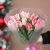Букет "Фламинго" из 11 пионовидных тюльпанов в Черноголовке Букет "Фламинго" из 11 пионовидных тюльпанов в Черноголовке