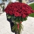 Букет из 101 красной розы (90 см) в Черноголовке