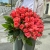 Букет 51 роза коралл (60 см) в Черноголовке Букет 51 роза коралл (60 см) в Черноголовке