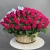 Композиция в корзине из 151 малиновой розы в Черноголовке Композиция в корзине из 151 малиновой розы в Черноголовке