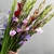 Букет из 25 гладиолусов микс в Черноголовке Букет из 25 гладиолусов микс в Черноголовке