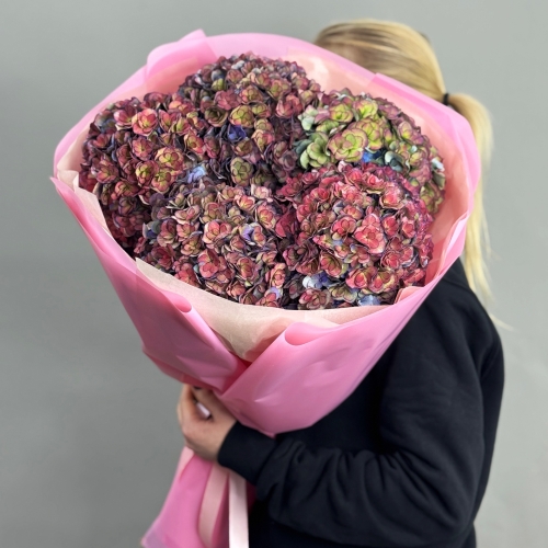 Букет из 5 космических Голландских гортензий в Черноголовке